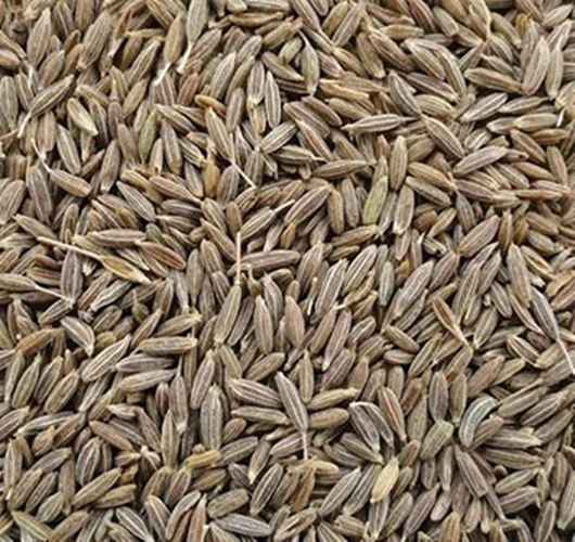 Cumin Seeds (Jeera)