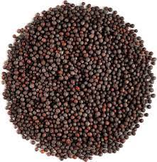 Black Mustard Seeds